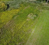 Greenery in Bátorove Kosihy, suitable for residential plots, surrounded by trees.