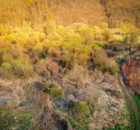 Land - residential in Mule, including natural terrain with trees and shrubs.