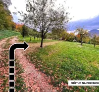Gardens in Bystrom with an access road, trees in autumn, and a mountain background.