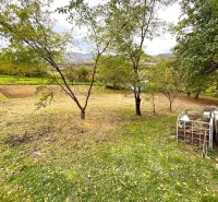 The gardens in Bystré offer views of trees and green meadows on the slopes.