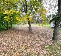 Autumn in the gardens of Bystré with trees and fallen leaves on the ground.