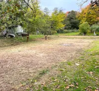 Gardens in Bystré with a lawn and trees in autumn colors.