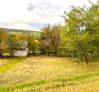 Gardens in Bystrom with a grassy area, trees, and a small house in the autumn season.