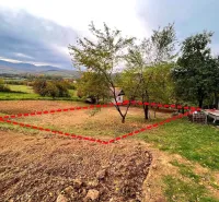The natural scenery of gardens in Bystré with a marked plot and a country house.