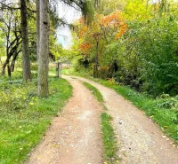 An autumn path in the gardens of Bystré surrounded by trees with vibrant leaves.