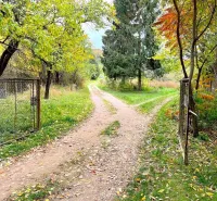 A dirt road leads through an open gate in the gardens in Bystré.