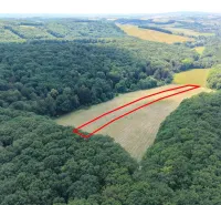 Aerial view of Gardens in Podbranč with a marked rectangular plot in the middle of the forest.