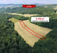 The landscape in Podbranč with extensive gardens, bordered by a forest, with a marked plot.
