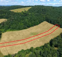 In the Gardens in Podbranč, a field surrounded by forests and a plot marked with a red line can be seen.