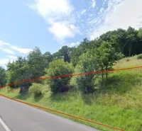 The road and greenery around Orovnica, suitable for special properties.