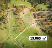 Extensive green areas with marked plots in Banská Štiavnica (Special properties).