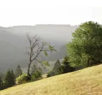 A hilly landscape of agricultural and forest lands in Muľa with scattered trees.