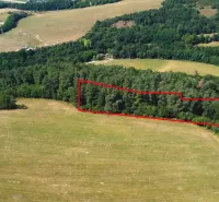 A meadow surrounded by forests in Záhrady near Beckov, with a marked plot in the forest.
