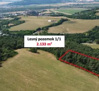A large forest plot of 2,133 m² in the gardens of Beckov.