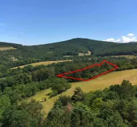 Meadows and forests in the gardens near Beckov with a red outline of the land.
