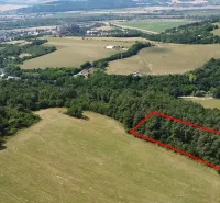 Aerial view of the landscape and gardens around Beckov with the marked plot.
