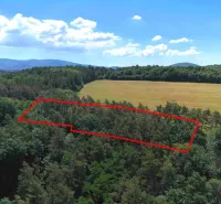 A view of a forest plot in the gardens of Beckov with a view of the mountains and fields.