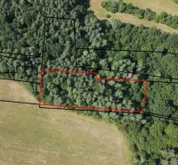 Forest and field area, Gardens in Beckov bordered by a red line.