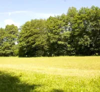 A grassy area surrounded by trees in the Gardens of Horná Ves under a blue sky.