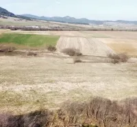 Agricultural and forest lands in Podhorany display diverse shades on the spring fields.