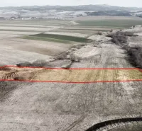 Agricultural and forest land in Podhorany with visible boundary markings.