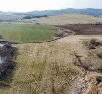 Agricultural and forest lands in Podhorany with elevations and tree growth.