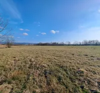 Agricultural and forest land in Podhorany with a blue sky and sparse trees.