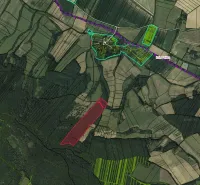 Map of agricultural and forest land around Polina, with marked parcel boundaries.