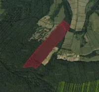 Aerial view of agricultural and forest land around Polina surrounded by nature.