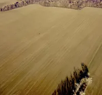 Agricultural and forest lands in Zbudza with extensive flat fields and forests.