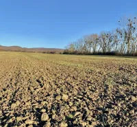Agricultural and forest land in Zbudza with a view of distant hills and trees.