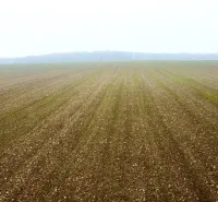 Cultivated fields on agricultural and forest lands in Zbudza under a gentle haze.