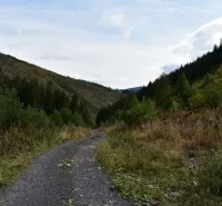A wooded valley with forest paths around Prievidza, ideal for hiking and relaxation.