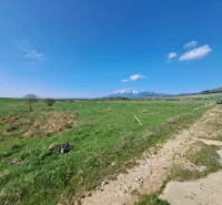Agricultural and forest lands in Podhorany with a road and distant mountains under a blue sky.