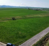 Green fields on agricultural and forest land in Podhorany with a rural road.