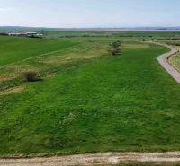 A path between agricultural and forest lands in Podhorany with vast green fields.