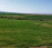 A landscape with agricultural and forest land around Podhorany, with a road and meadows.
