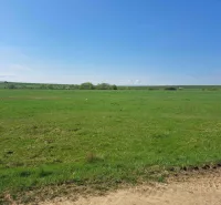 Green agricultural and forest lands in Podhorany under the blue sky.