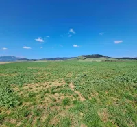 Agricultural and forest land in Podhorany with a view of the mountain massif and blue sky.