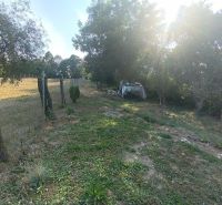 A garden at a family house in Dobroč with a lawn and trees, fenced with a net.
