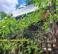 A wooden cabin surrounded by greenery in the gardens of Zvolen under a blue sky.