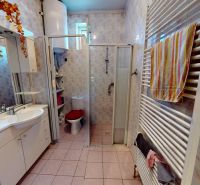 A bathroom in a family house with a sink, shower, toilet, and radiator.