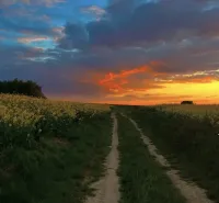 A dirt road between blooming fields during sunset in Rapovce, Unusual properties.