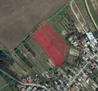 Cadastral map in the area of Rapovce showing distributed parcels and special properties.