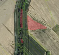 Cadastral map with highlighted plots of special properties in Rapovce.