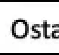 Translate this into English, I want only the translation as the output: