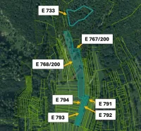 Cadastral map of agricultural and forest land in Omastiná with parcel numbers.