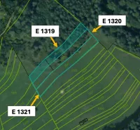Map of agricultural and forest land in the village of Omastiná, marked plots.