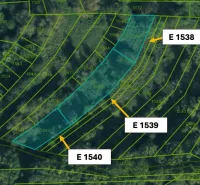 Cadastral map with agricultural and forest land in Omastiná, parcels E 1538-1540 are marked.