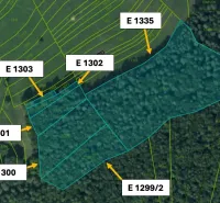 Cadastral map with designation of agricultural and forest land plots in Omastiná.